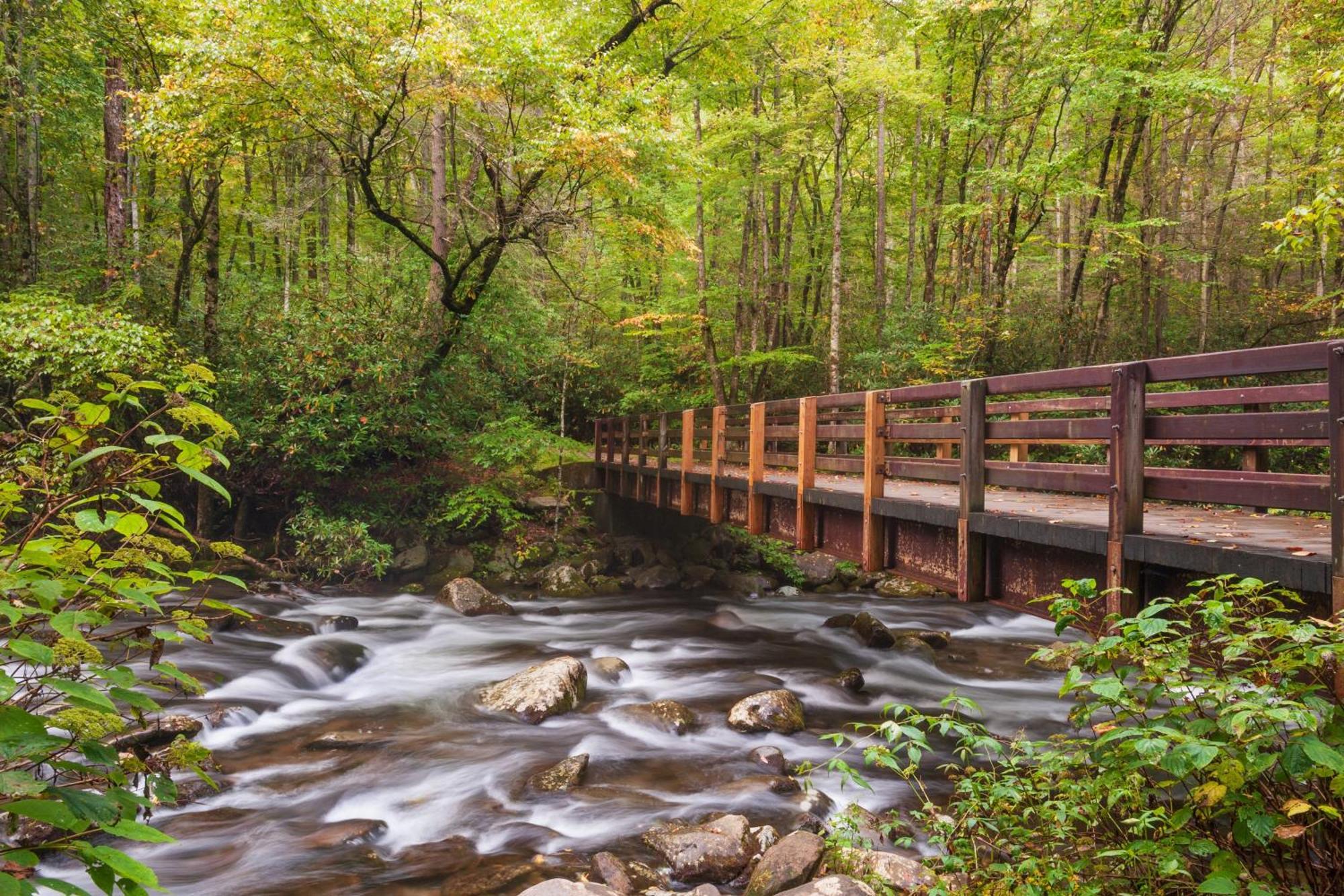 Glori'S Retreat, Game Room, 1089 Of Free Attraction Tickets For Each Paid Day, Dollywood And More Pigeon Forge Dış mekan fotoğraf